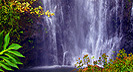 Waterfall - Wailua Falls Maui